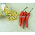 P17 Rocket hyrid vegetable seeds from China of hot chill seeds